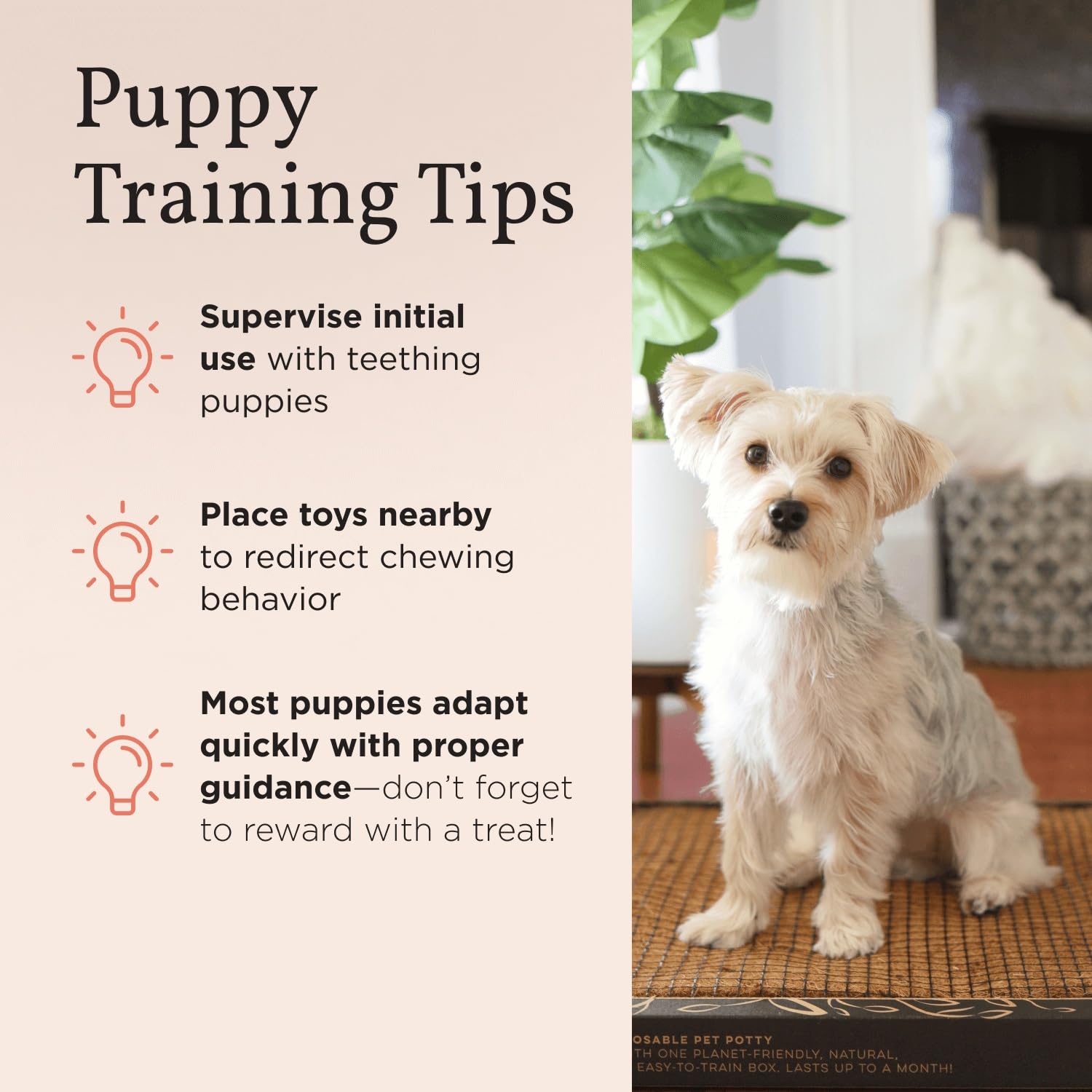 Bark Potty ecológico y reutilizable, opción sostenible para el cuidado diario.