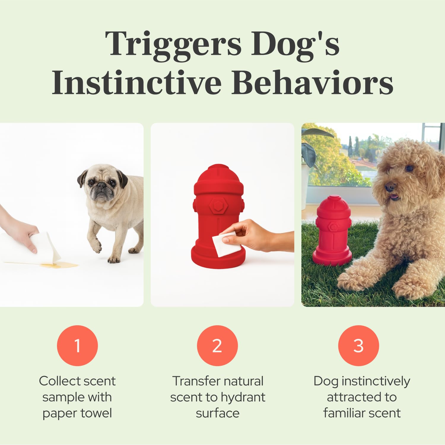 Bark Potty entrenamiento con olor para perros pequeños, mejora atracción.