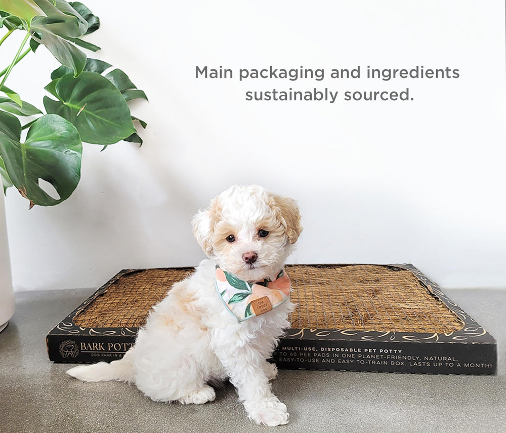 Bark Potty facilita limpieza diaria y confort del hogar.