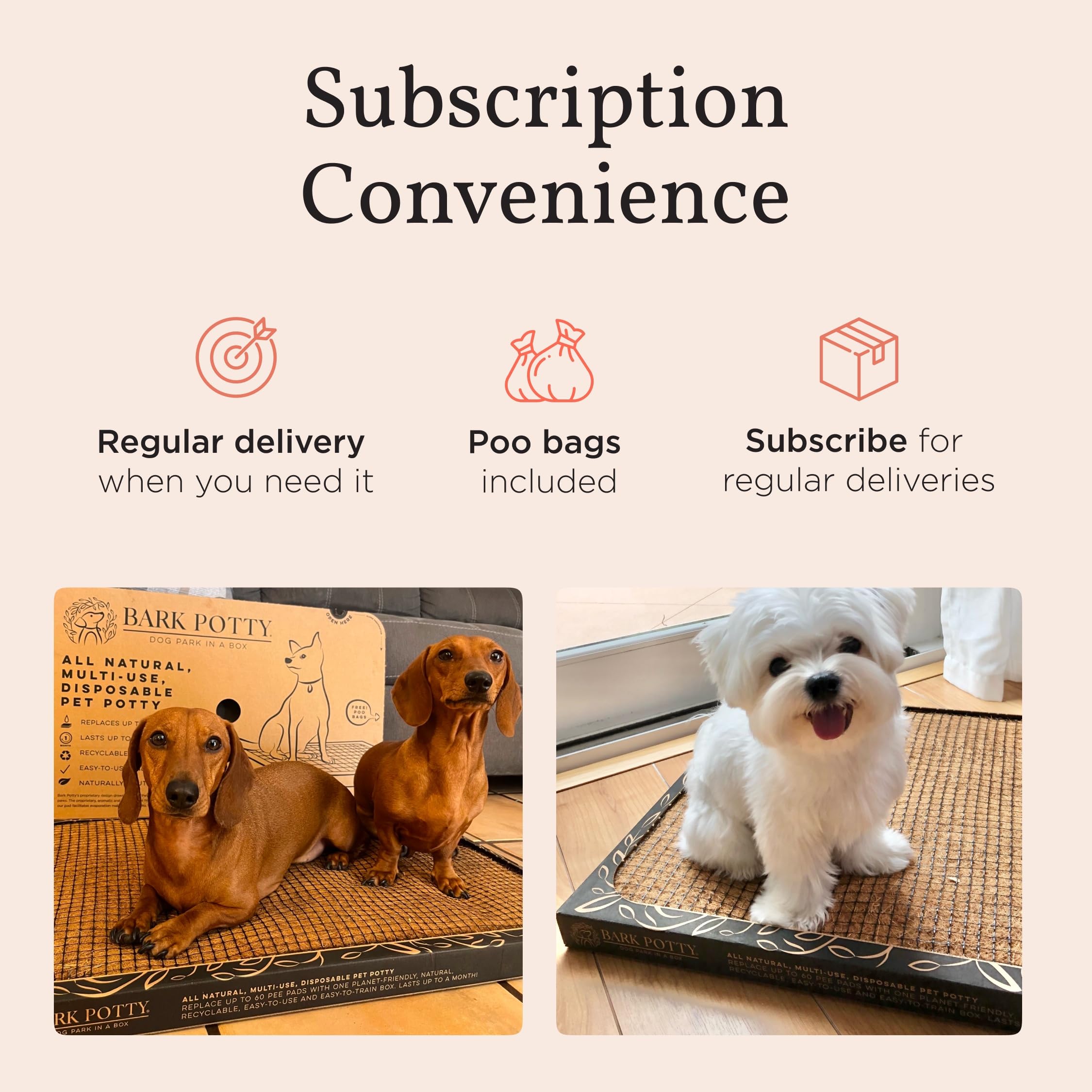 Bark Potty con materiales sostenibles y reutilizable