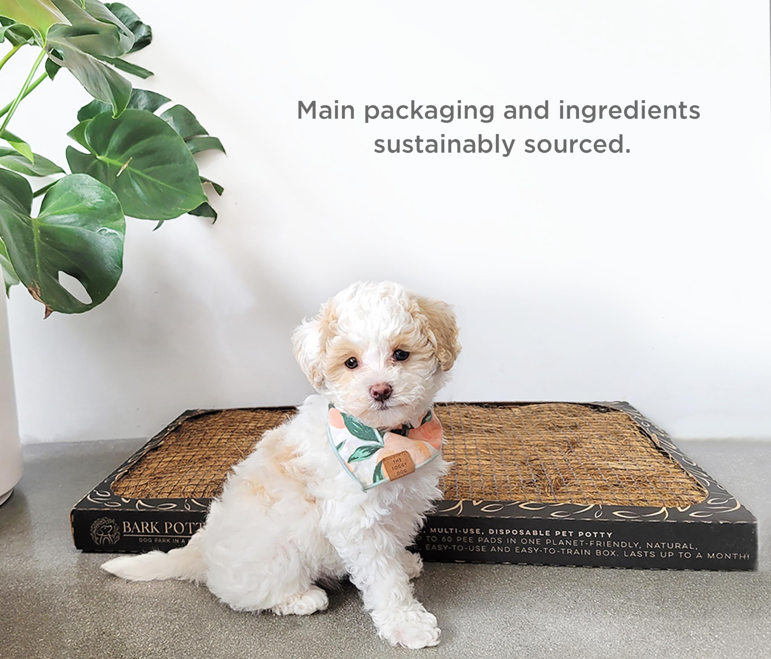 Bark Potty uso diario en interiores y exteriores