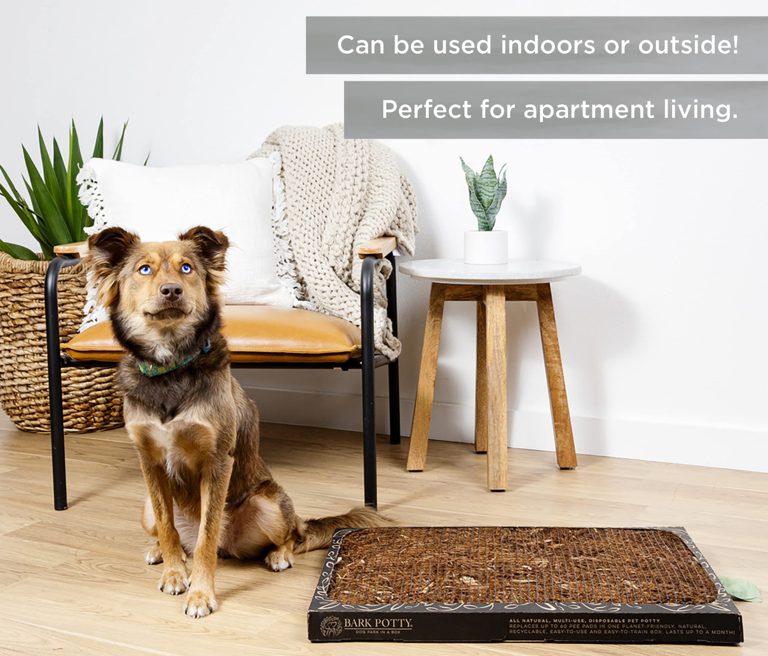 Bark Potty apto para interiores y exteriores, uso flexible.