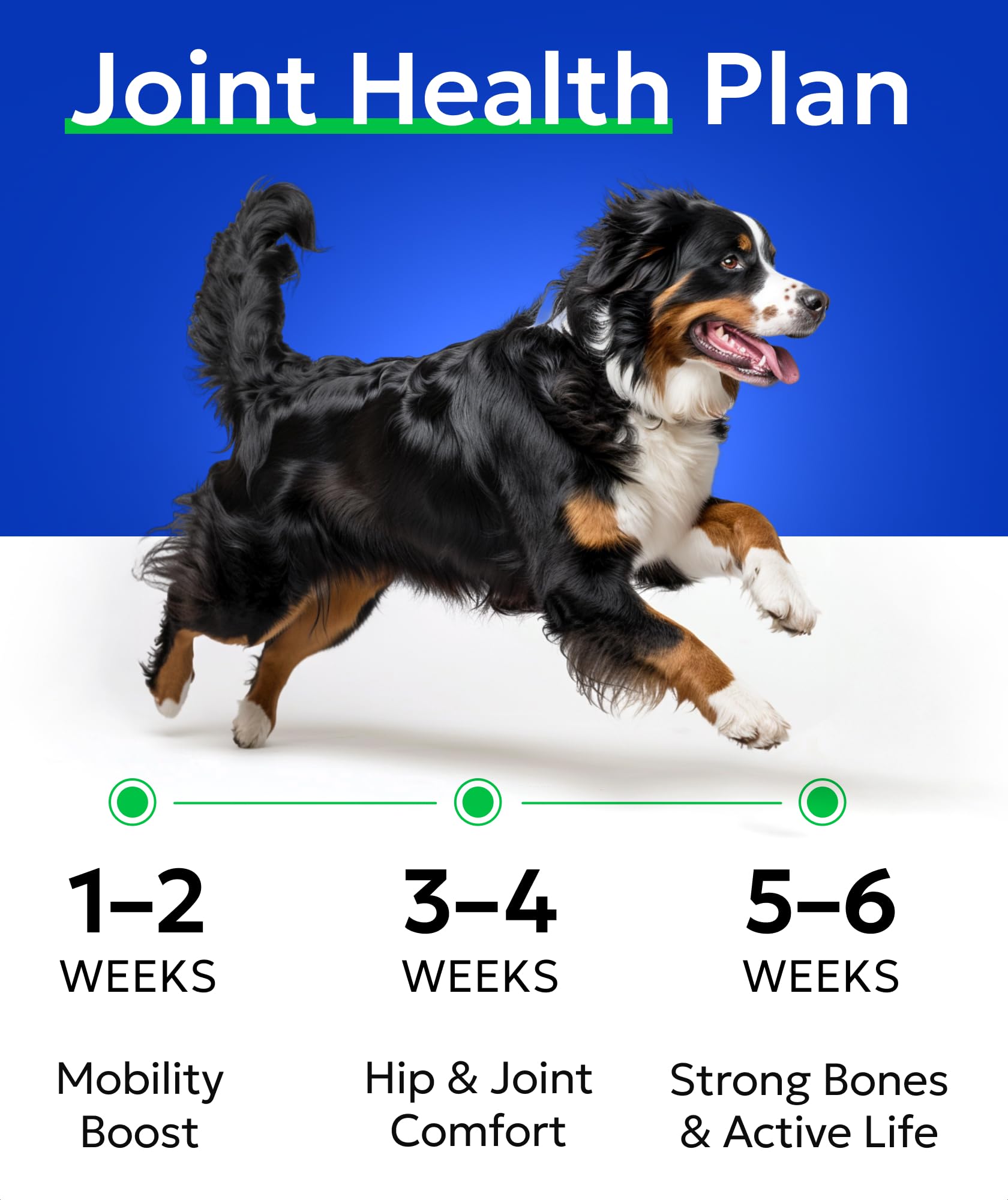 BARK&SPARK Calidad USA: control de calidad para una higiene y eficacia constante.