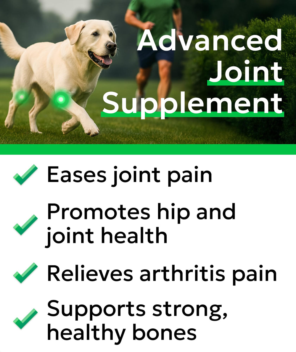 BARK&SPARK masticables suaves para articulaciones en perros grandes.