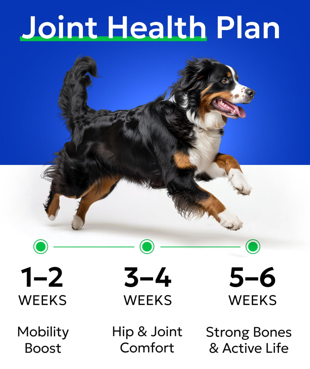 Omega-3-6 en Bark&Spark para soporte de articulaciones y confort.