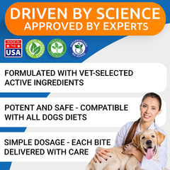 BARK&SPARK, quercetina y bromelina para equilibrio inmunitario canino.