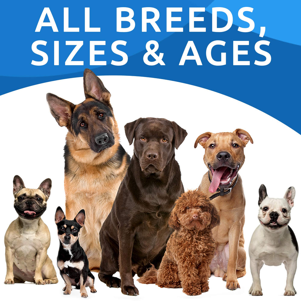 BARK&SPARK tamaño perro mediano grande: apto para perros de todas las edades