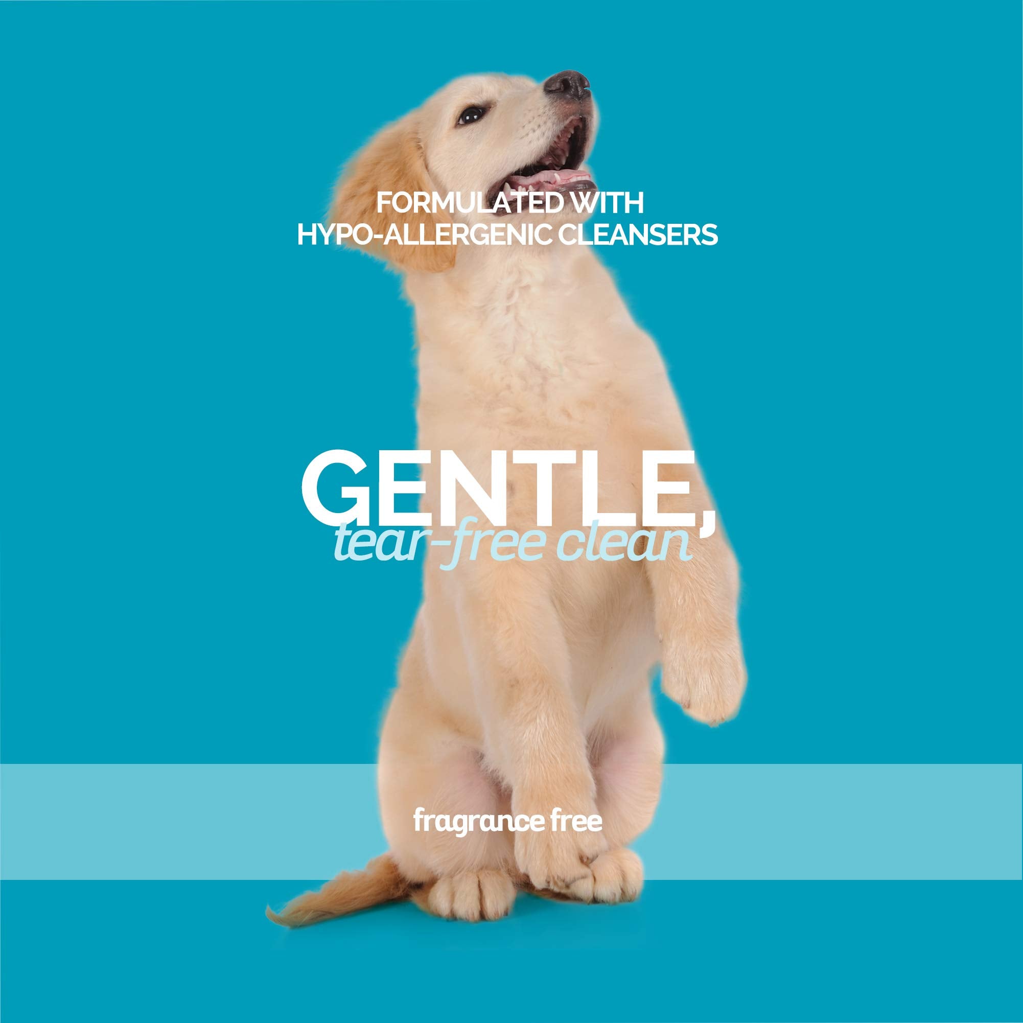 Bark2Basics Sensi-Skin: pelaje suave y brillante, ideal para perros con piel sensible