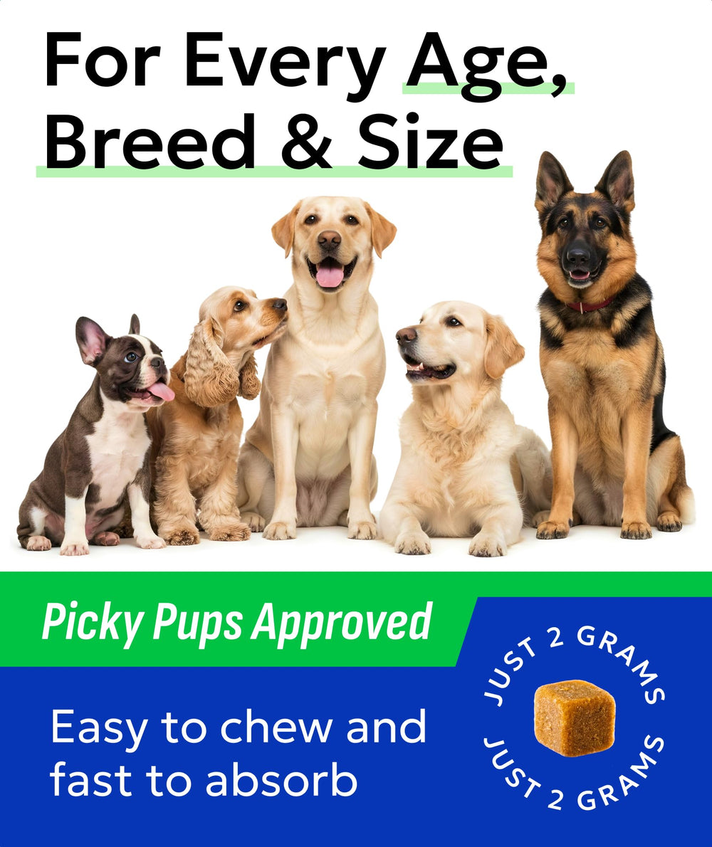 Empaque de Bark&SPARK para perros con masticables.