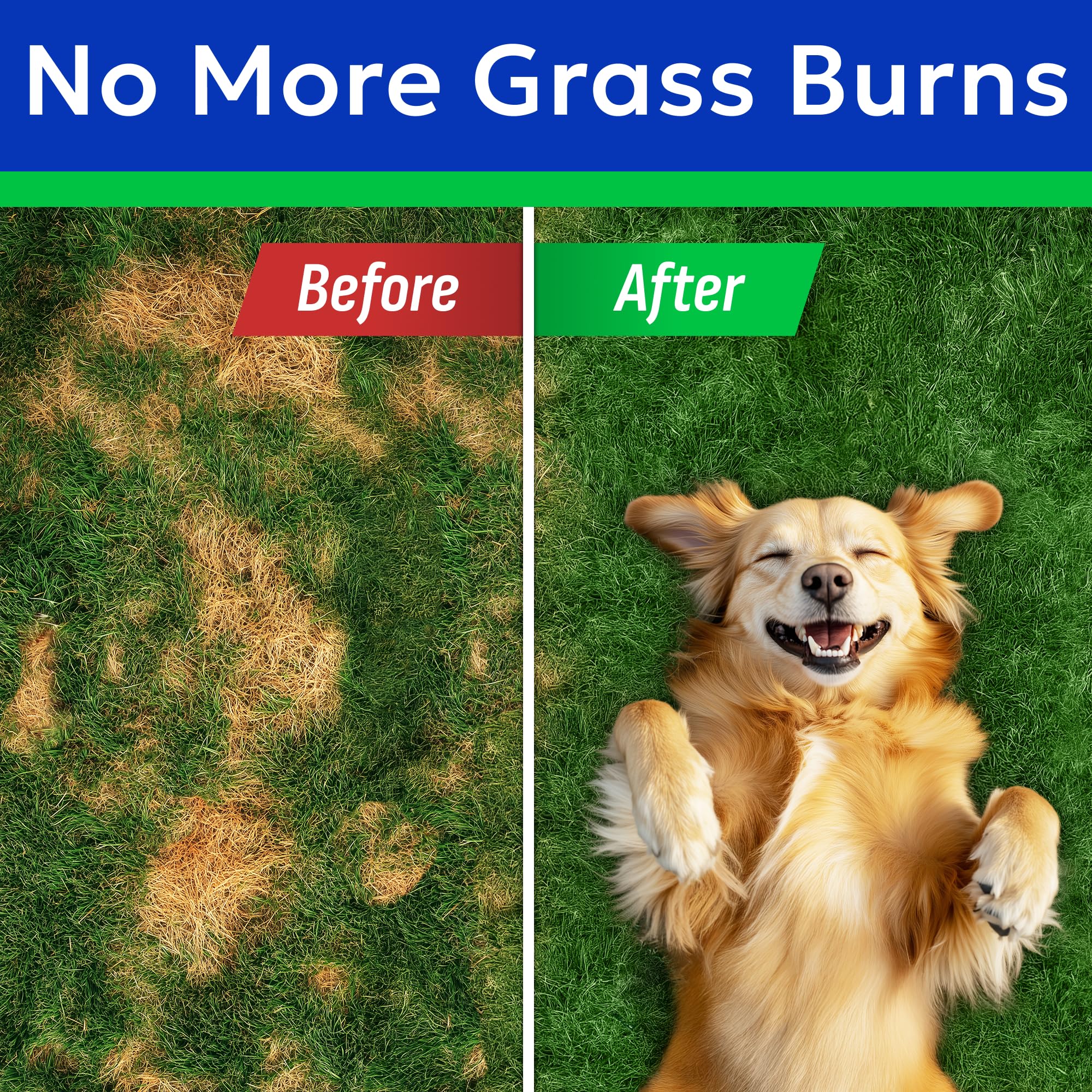 Masticables de BARK&SPARK para césped verde.