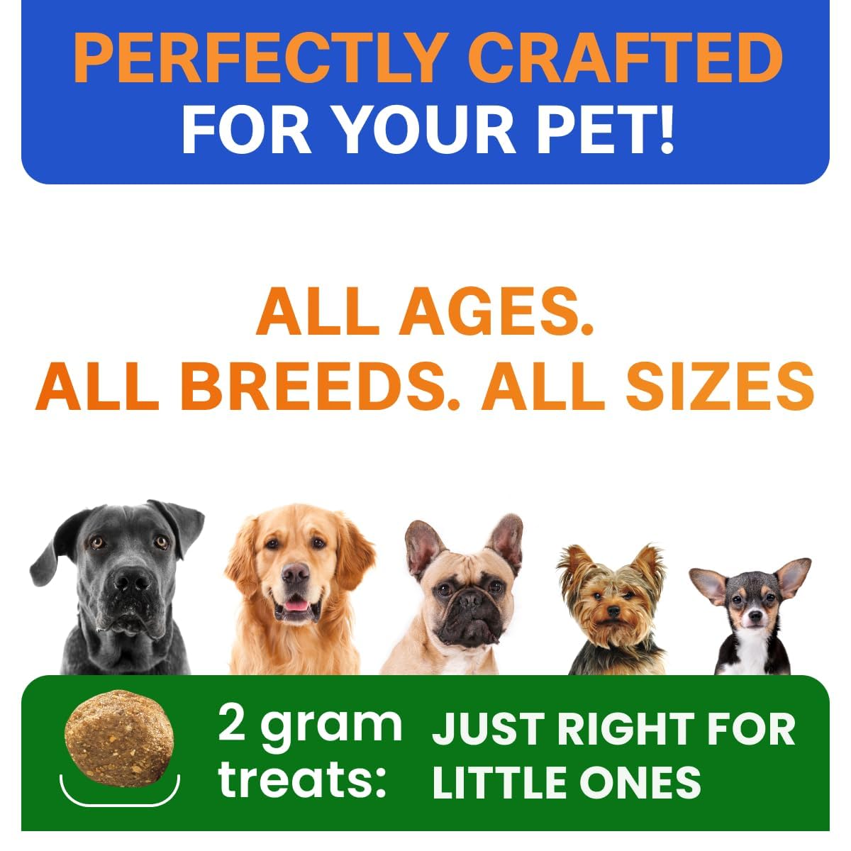 BARK&SPARK Probiotics: uso diario para perros de todas las edades.