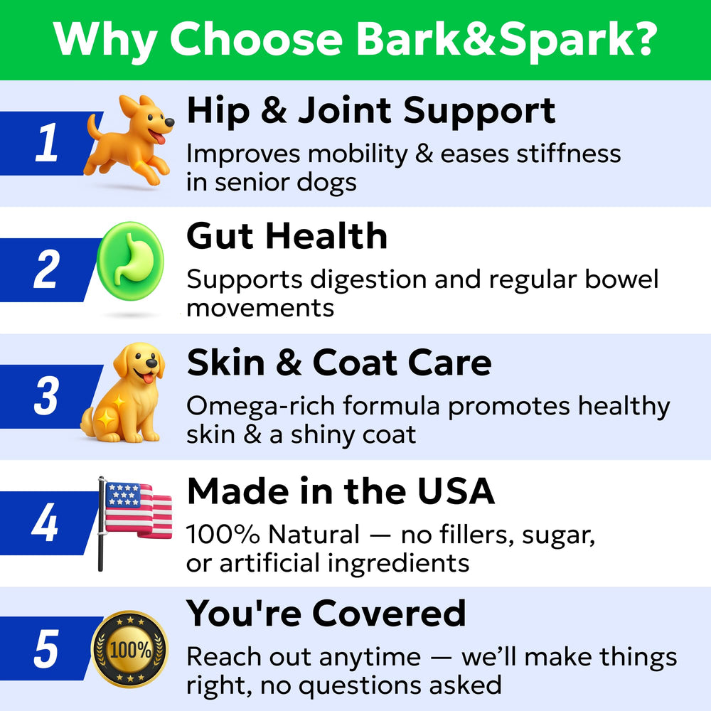 Uso diario de BARK&SPARK para movilidad y vitalidad de perros.