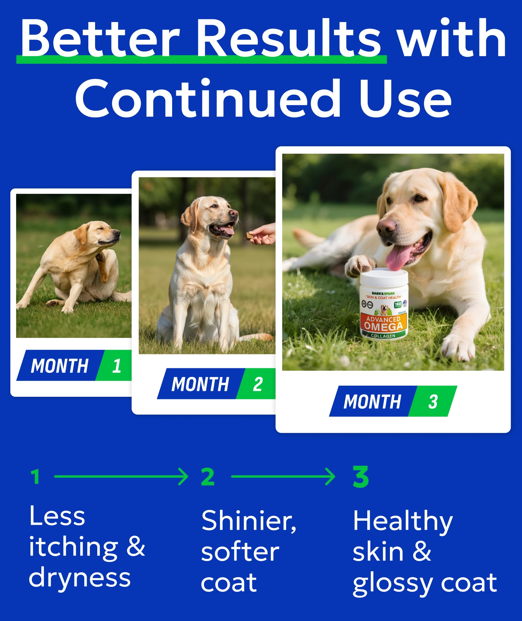 Uso diario de masticables para la rutina de cuidado del perro.