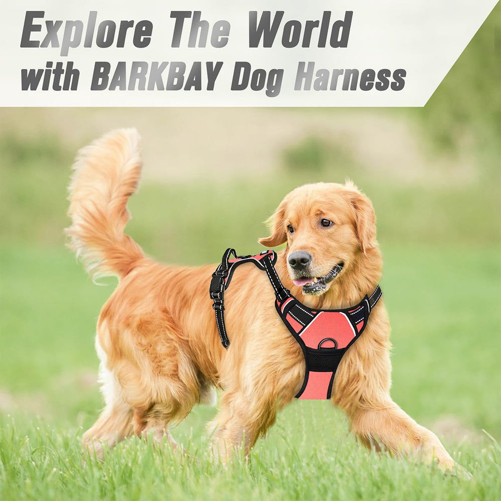 Arnés BARKBAY con ajuste de cuatro puntos para mayor comodidad