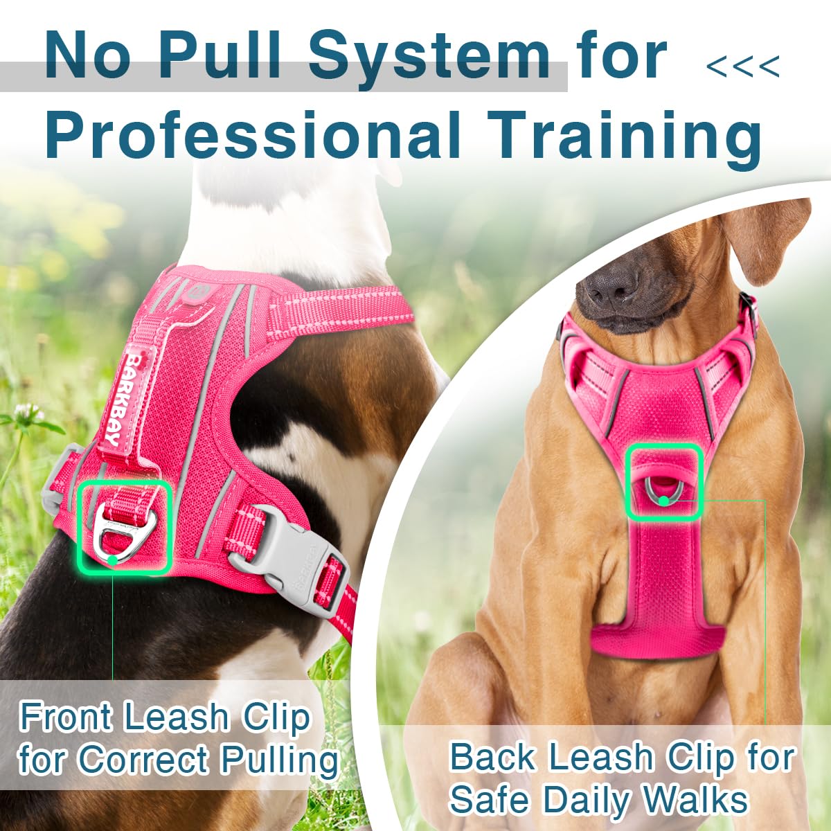 BARKBAY arf1es ajustable para perros grandes, ofrece comodidad y control.