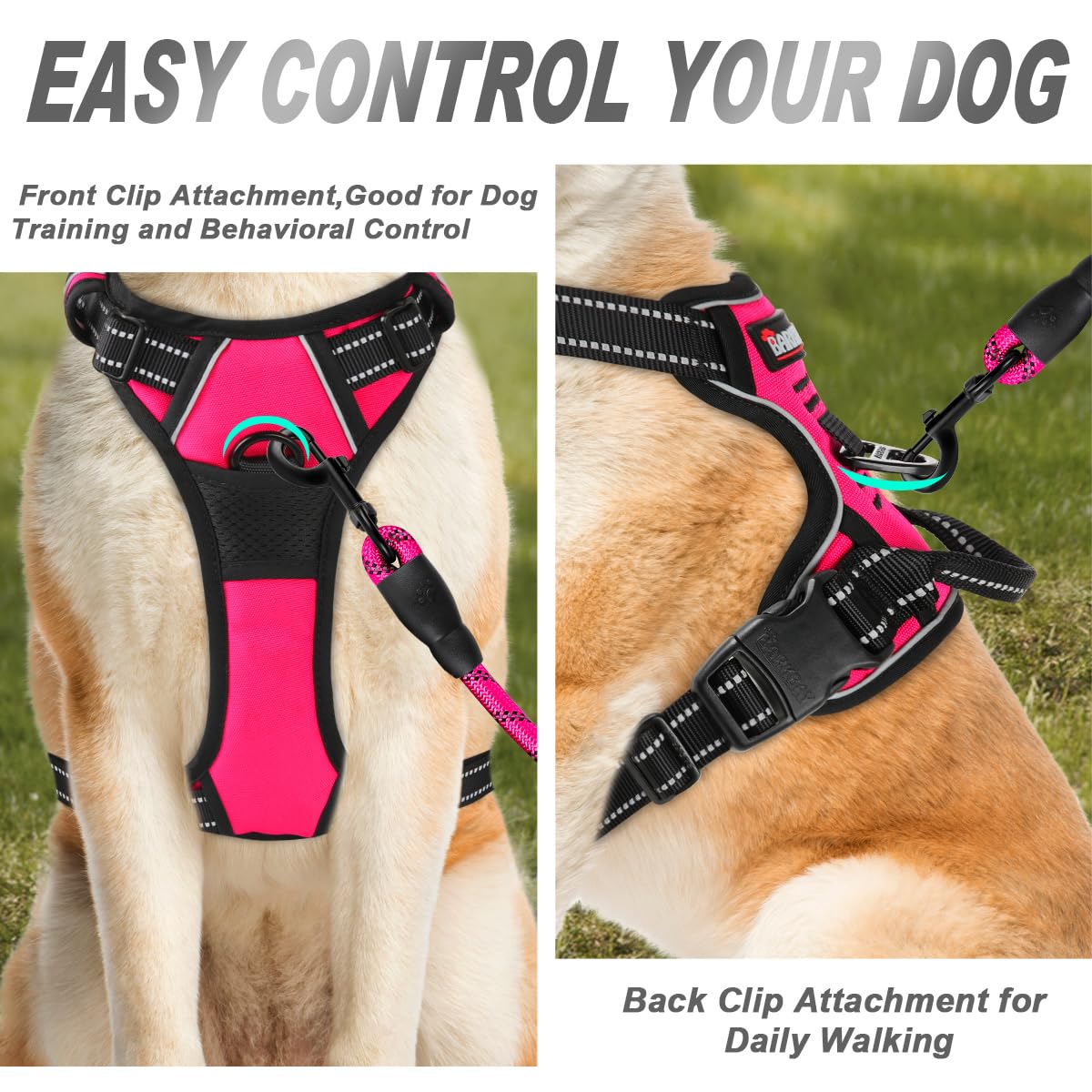 Arnés BARKBAY con cuatro puntos de ajuste para un ajuste personalizado.