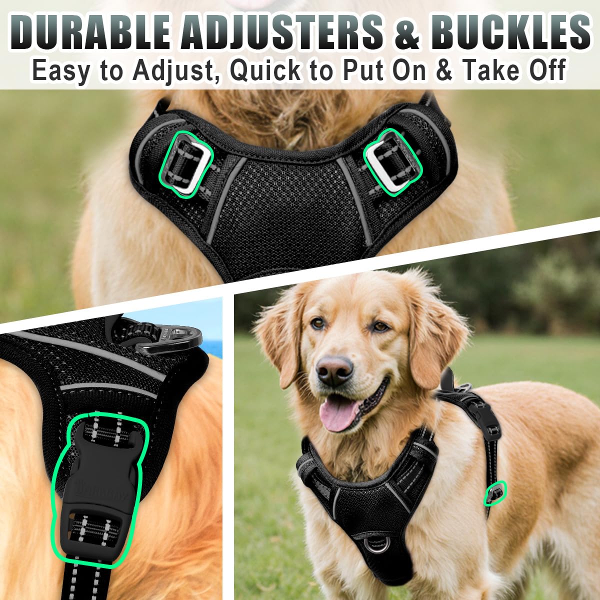 Arnés BarkBay con anillo trasero D para colgar la correa.