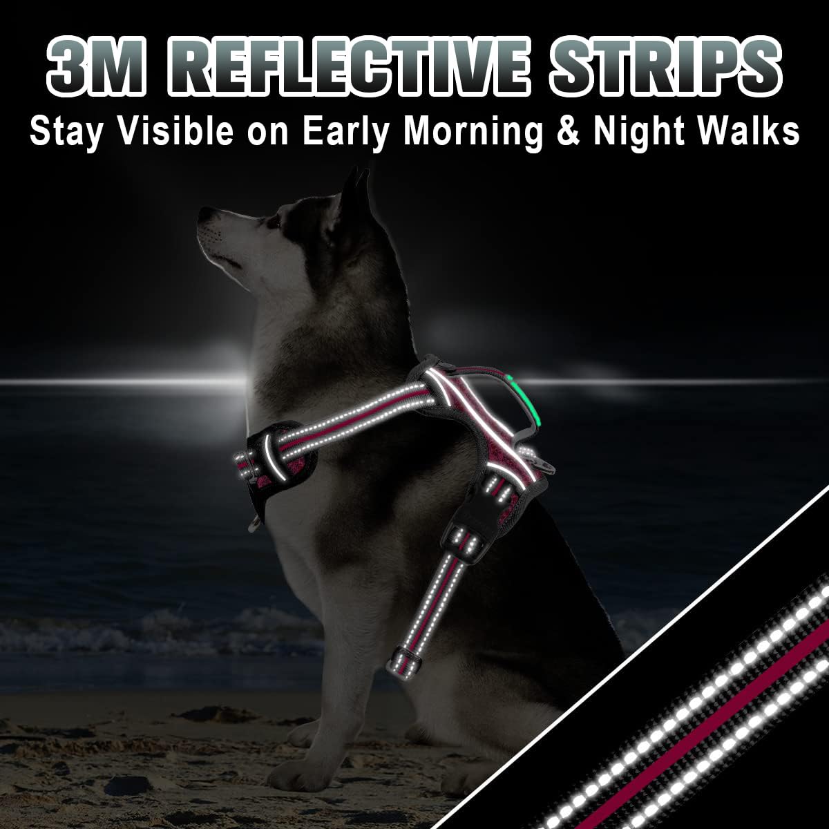 BARKBAY arnés asa de control para entrenamiento y manejo cómodo.