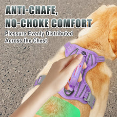 Arnés BarkBay con bolsillo de identificación para seguridad en paseos.