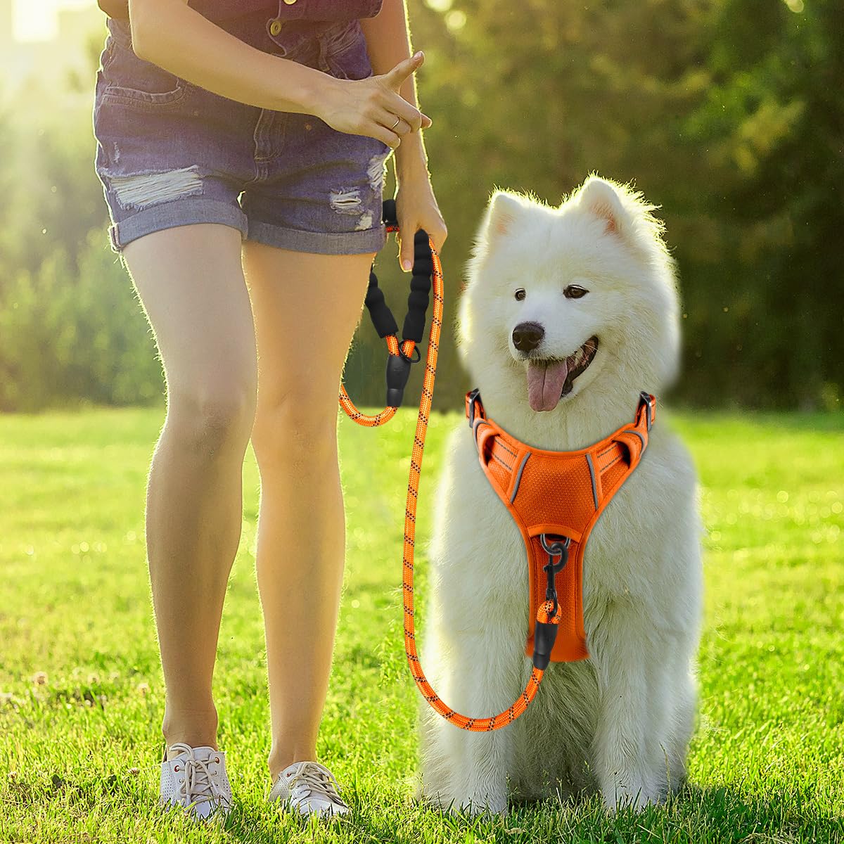 Arnés BarkBay con detalles de diseño que aumentan la seguridad