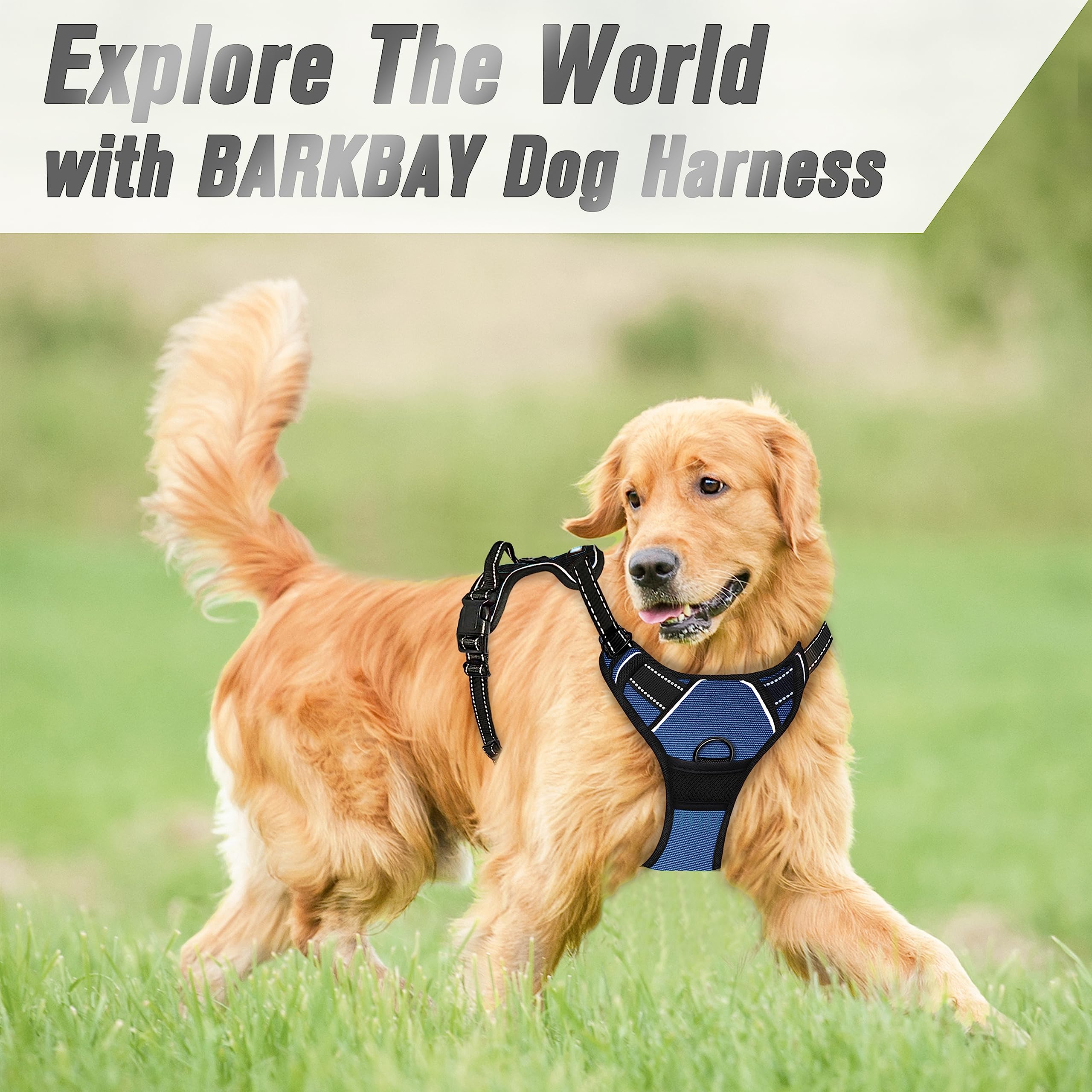 BARKBAY arnés con asa superior para control durante entrenamientos.