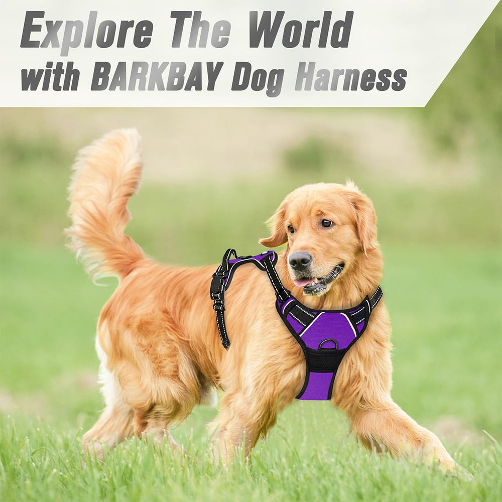 BARKBAY arnés fácil de poner para uso diario sin esfuerzo