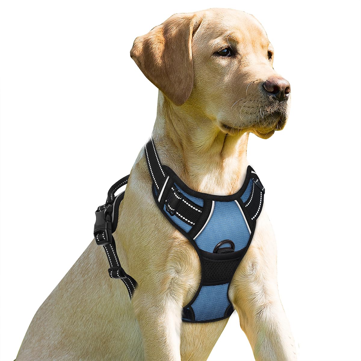Arnés BARKBAY con clip frontal en azul marino para paseos cómodos y controlados