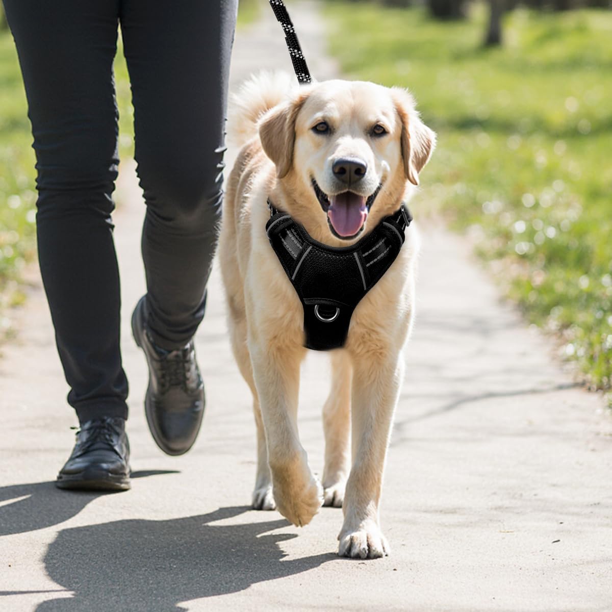Arnés BarkBay de nylon resistente para salidas duraderas.