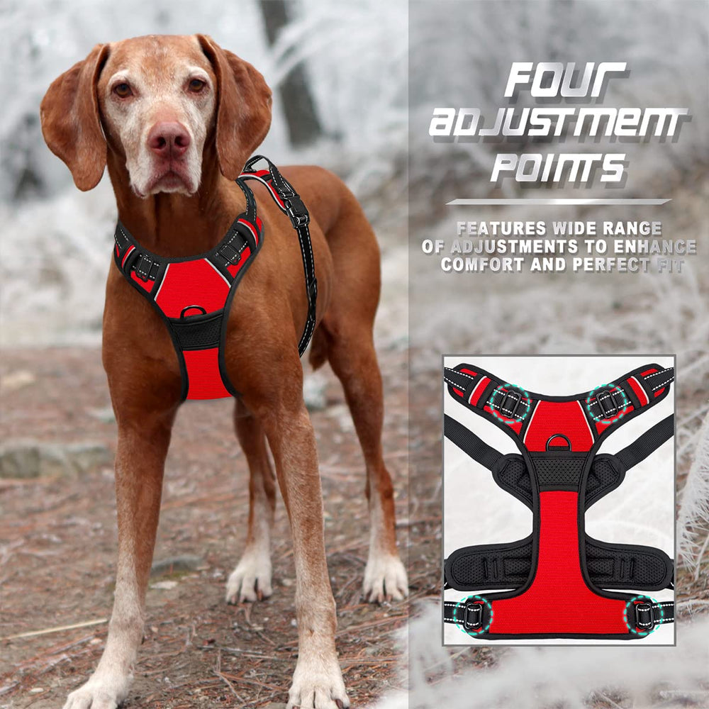 Arnés BARKBAY para perro grande ideal para caminatas largas