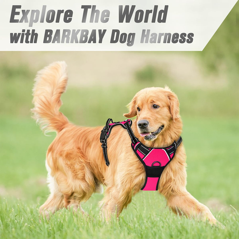 Paseo cómodo y controlado de perros grandes con BarkBay rosa XL.