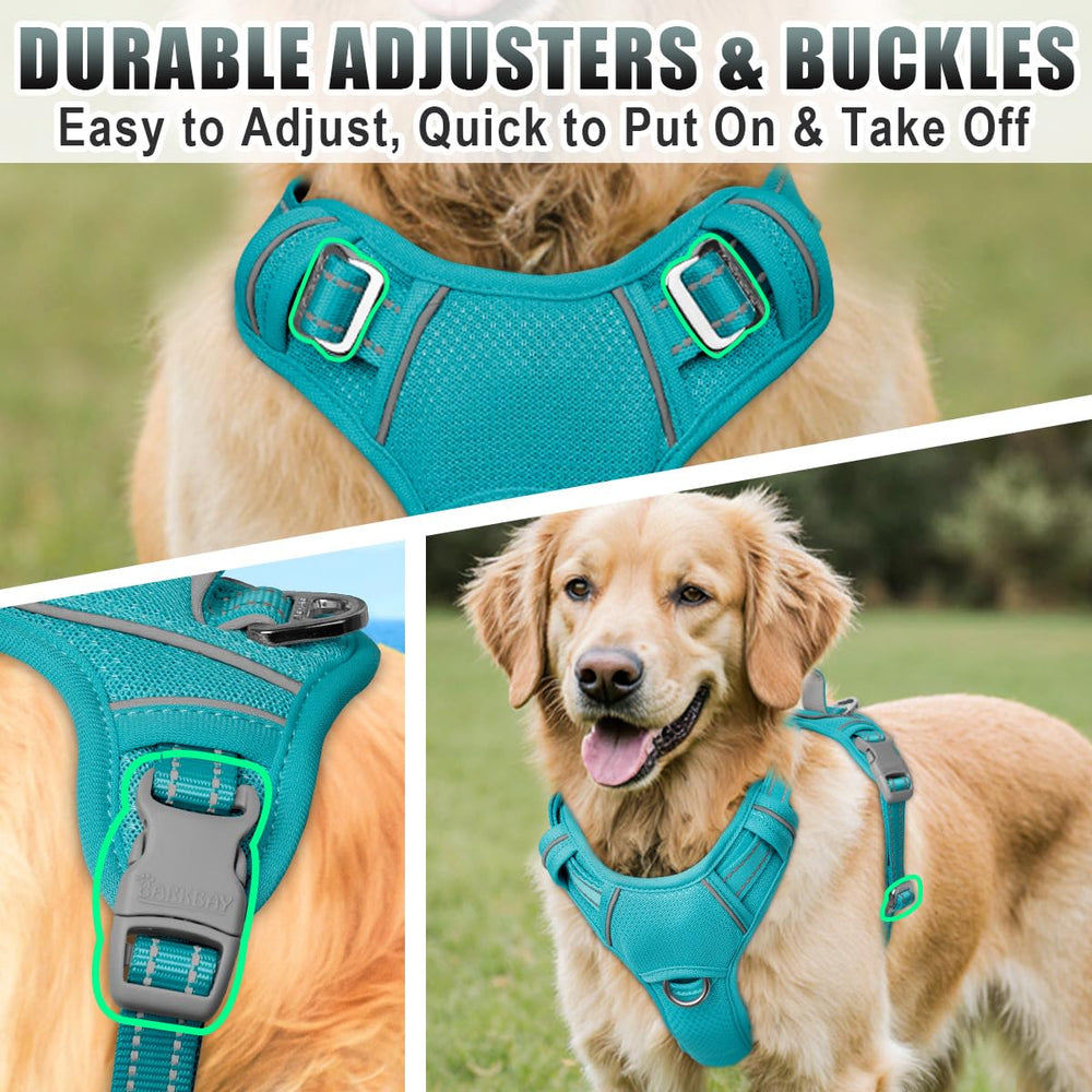 Arnés Barkbay diseñado para caminar, entrenar o correr.