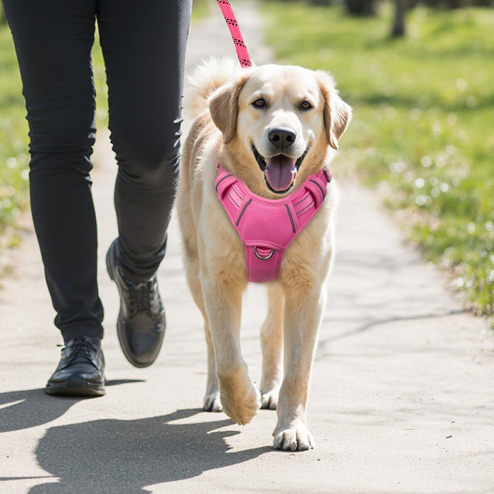 Arnés BarkBay con mango de control fácil para paseos