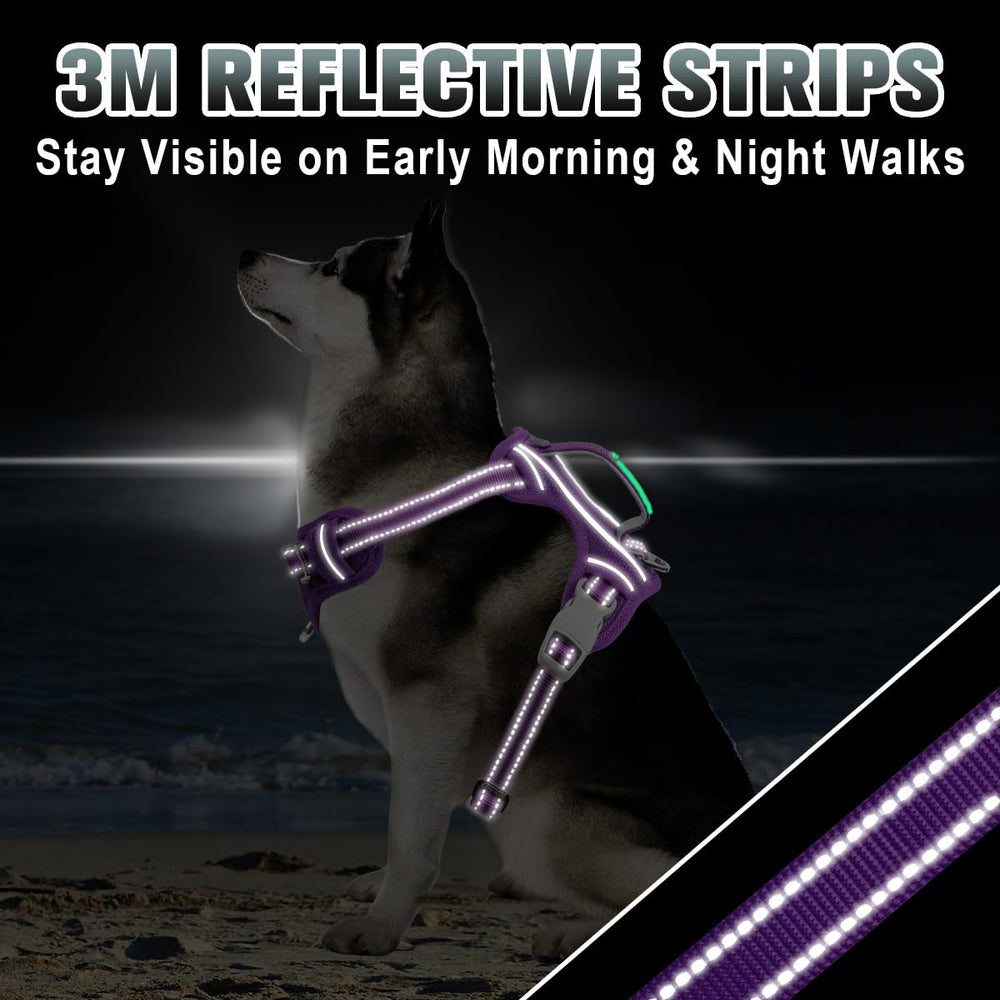 Arnés BarkBay, tiras reflectivas para mejor visibilidad nocturna.