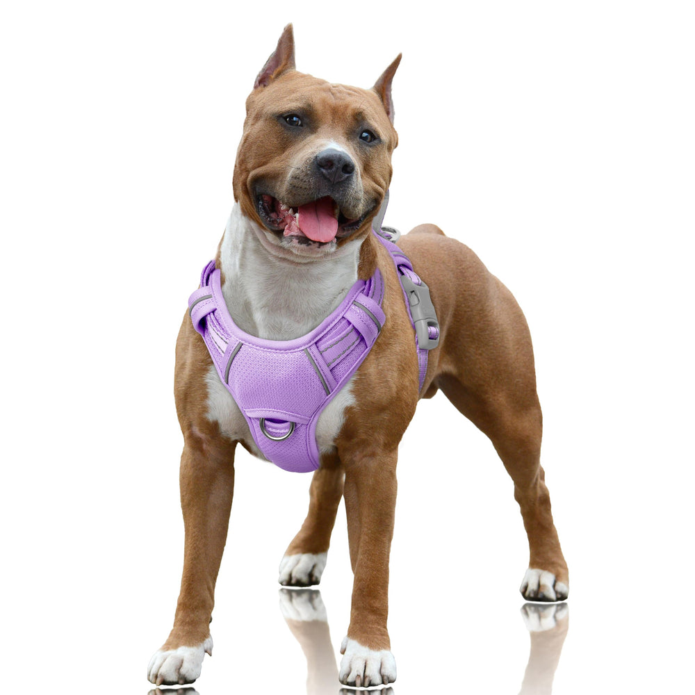 Arnés BarkBay con clip frontal para paseos sin tirones.