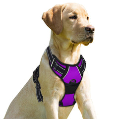 BARKBAY arnés sin tirones con gancho frontal para paseos más controlados