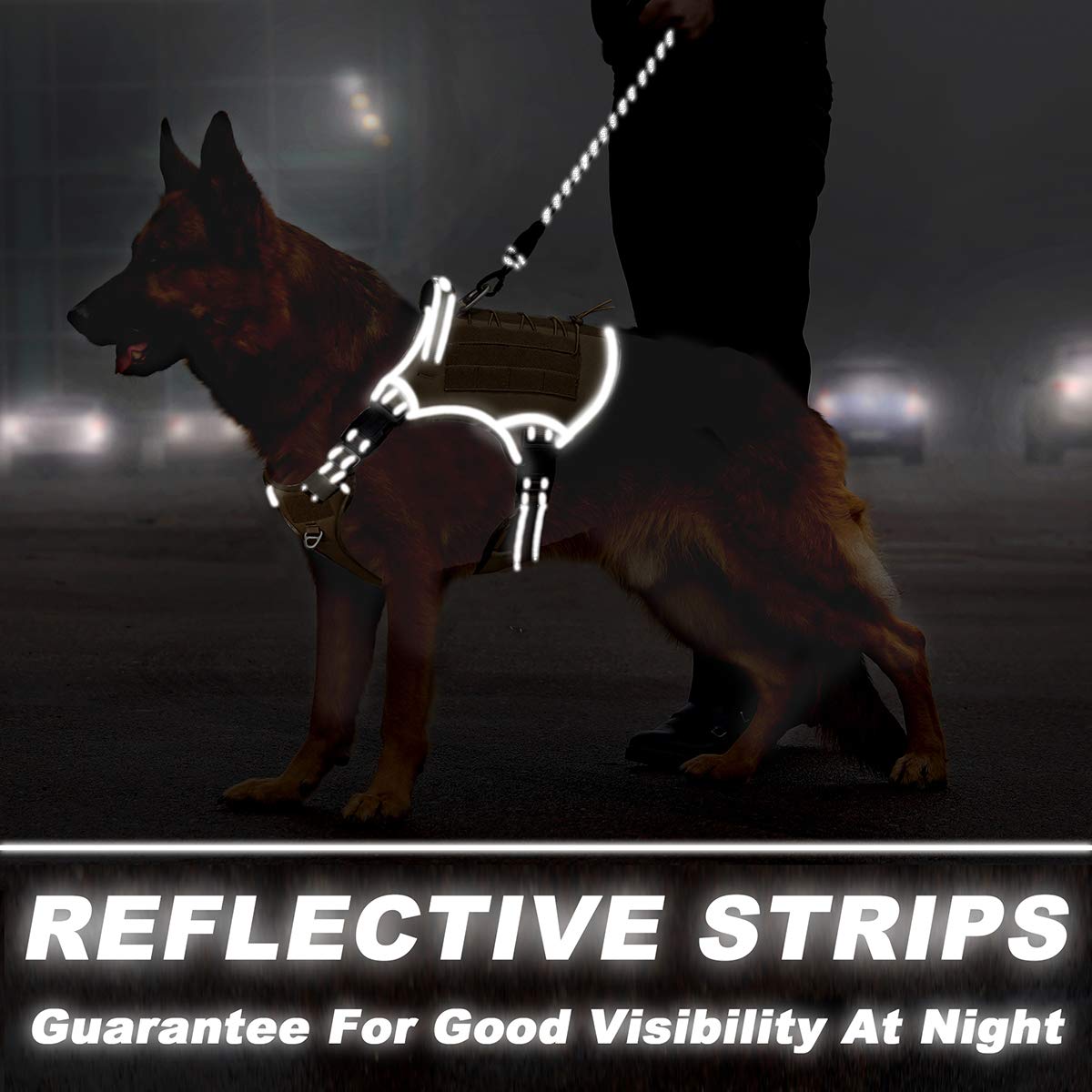 BANDA reflectiva de BARKBAY para visibilidad nocturna y seguridad.