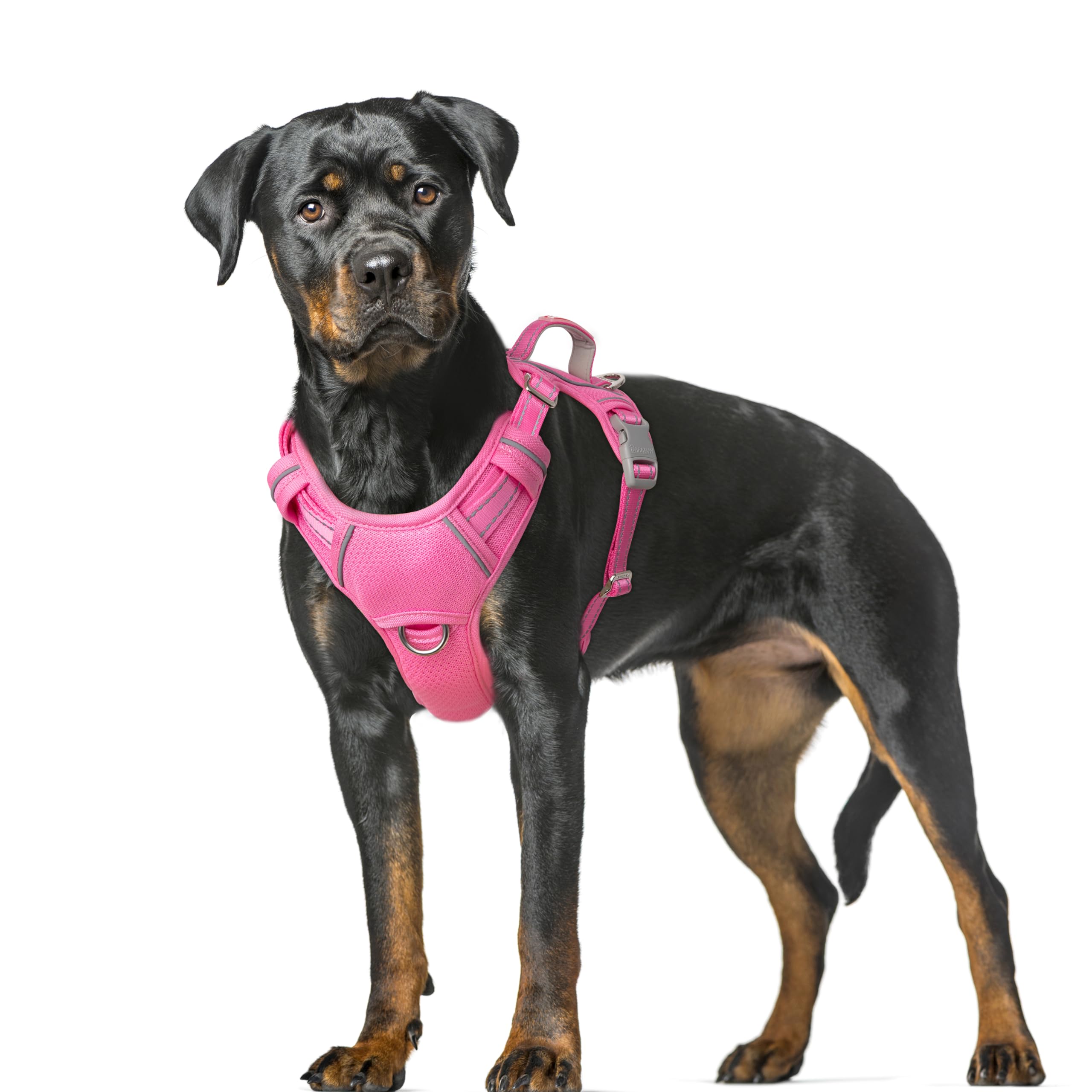 BARKBAY arnés con clip frontal para control suave durante paseos