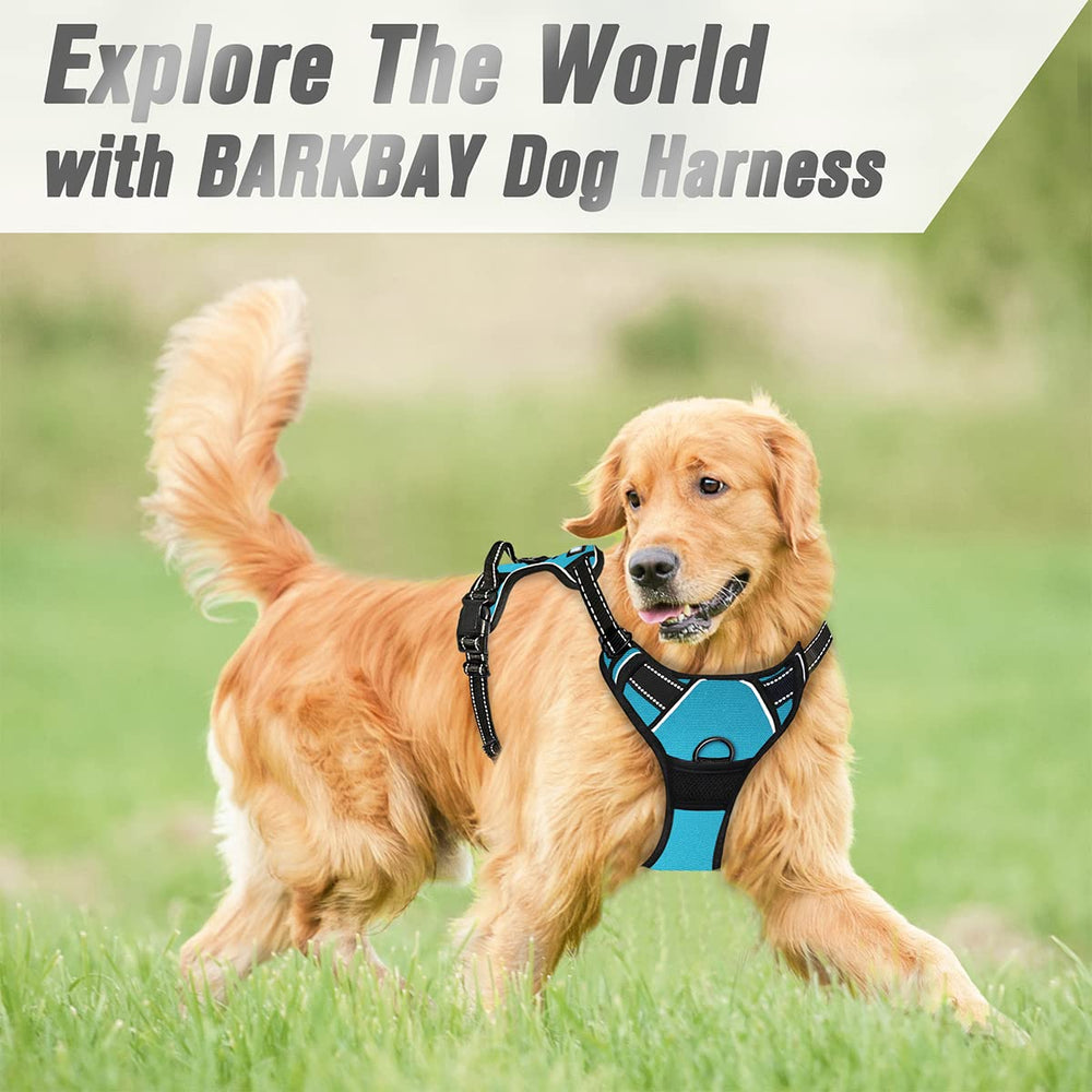 BARKBAY No Pull configuración de paseo azul, ideal para caminatas diarias