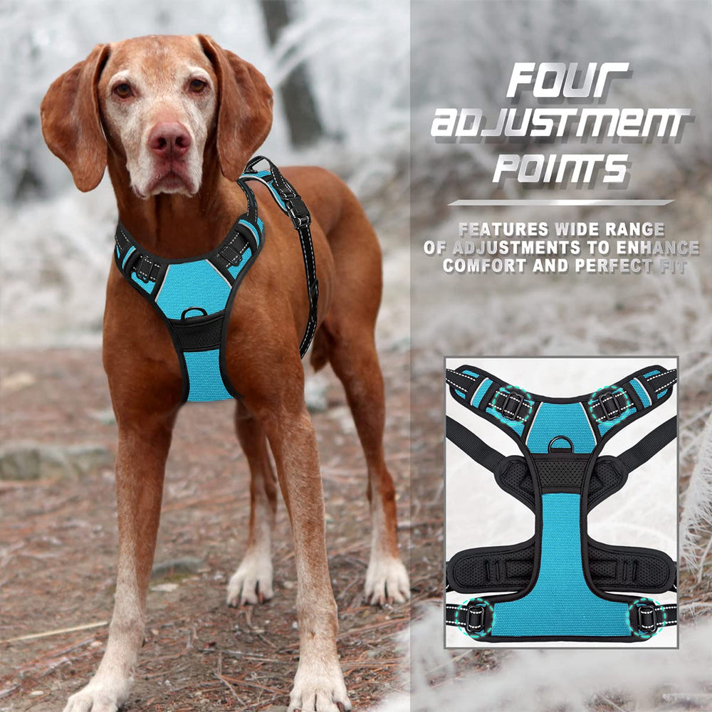 BARKBAY No Pull mango superior azul, seguridad adicional durante el paseo