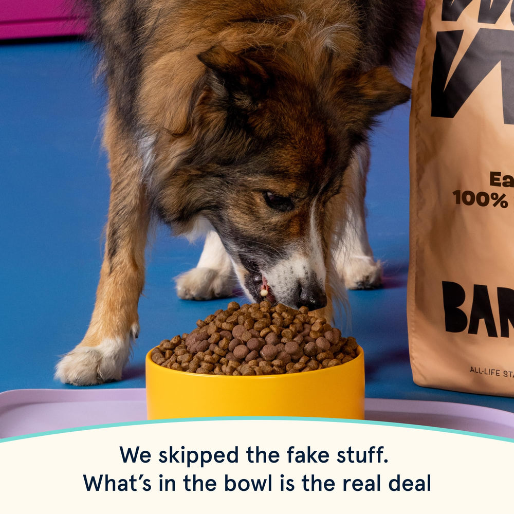 Barkbox antioxidantes para un sistema inmune equilibrado