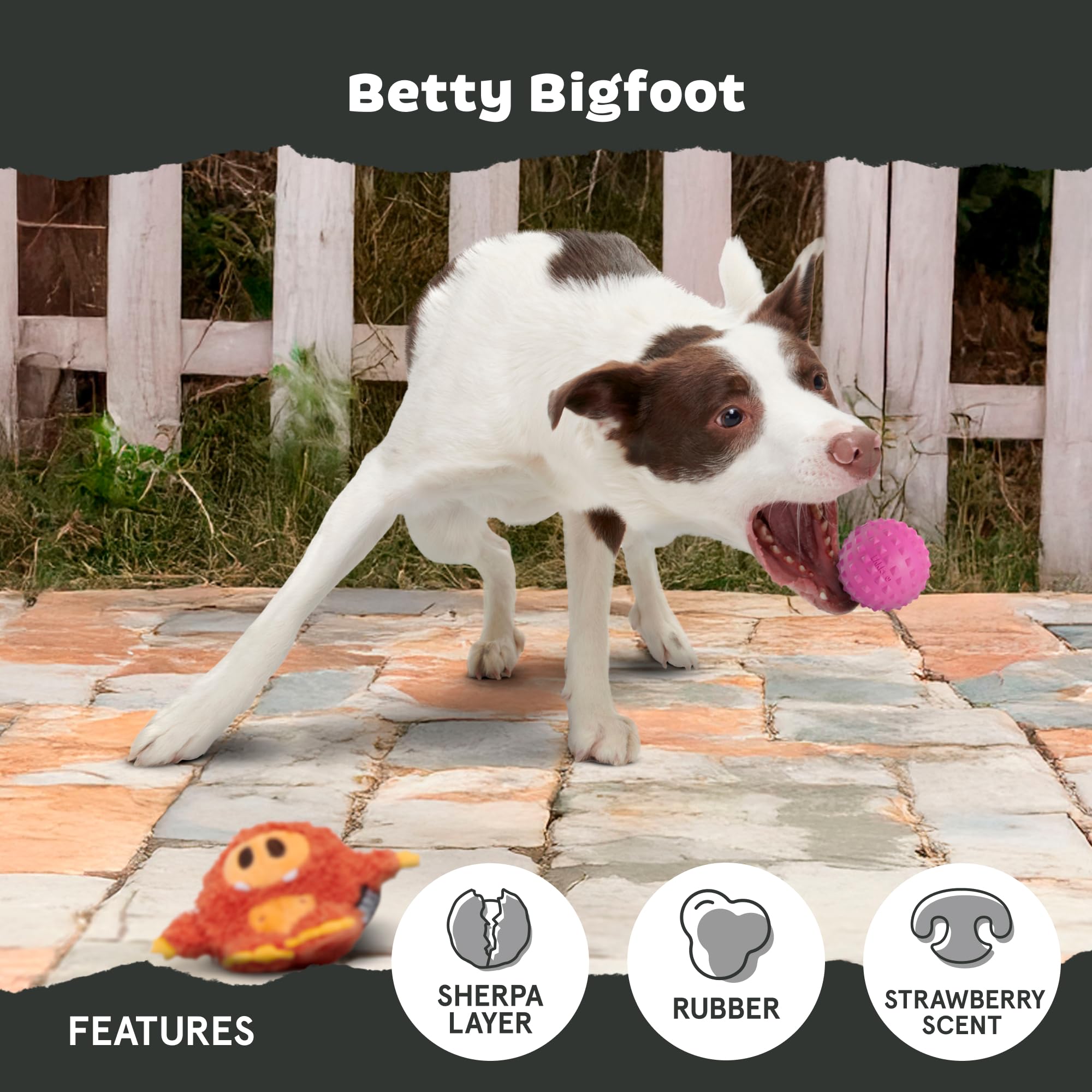 Betty Bigfoot de BarkBox, aroma a fresa que invita a la exploración