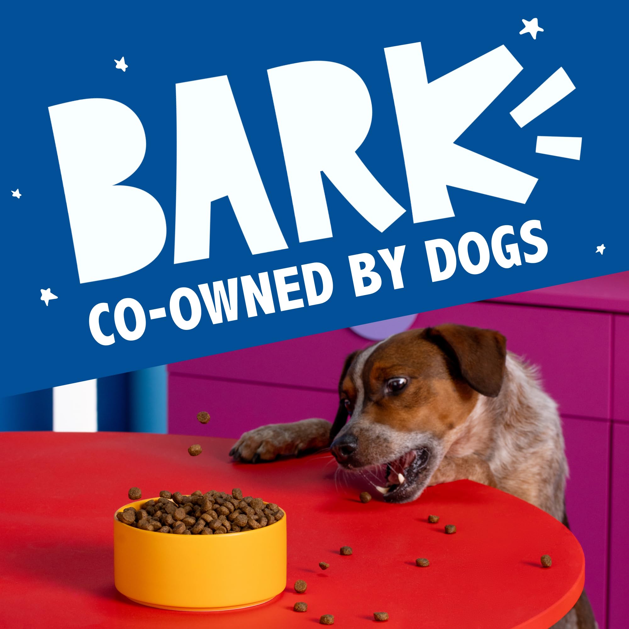 Barkbox bolsa de 28 libras para conveniencia