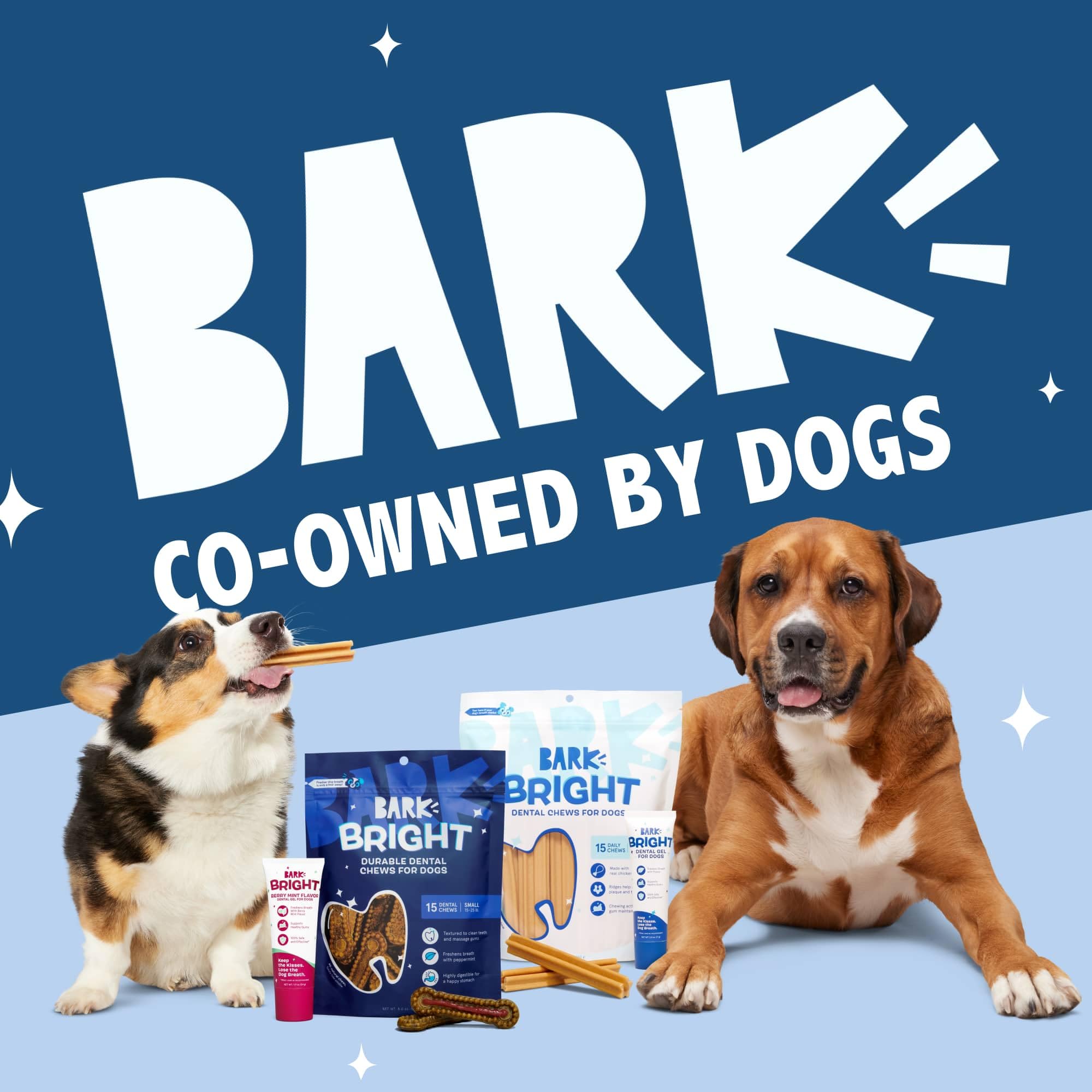 Barkbox Bright ayuda a mantener un aliento más fresco tras la comida