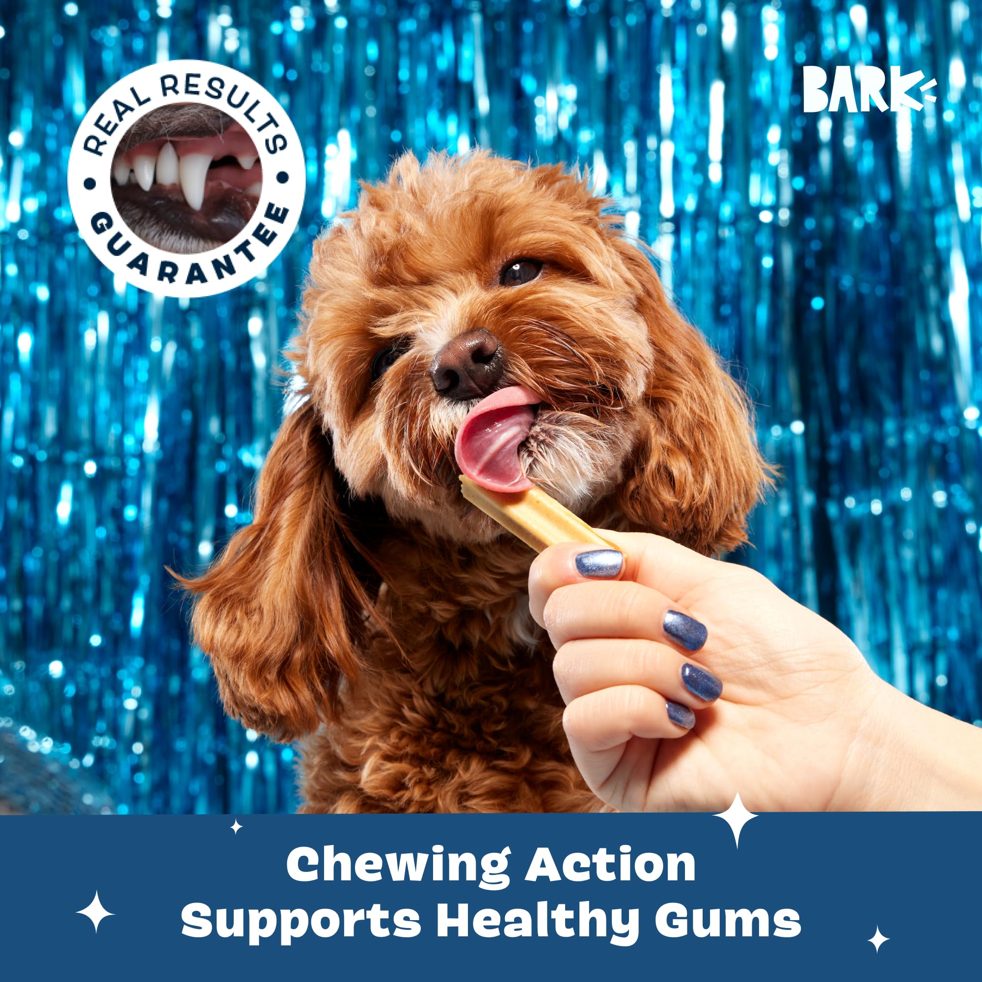 BARKBOX Bright masticación diaria para perro, apoyo a la limpieza dental