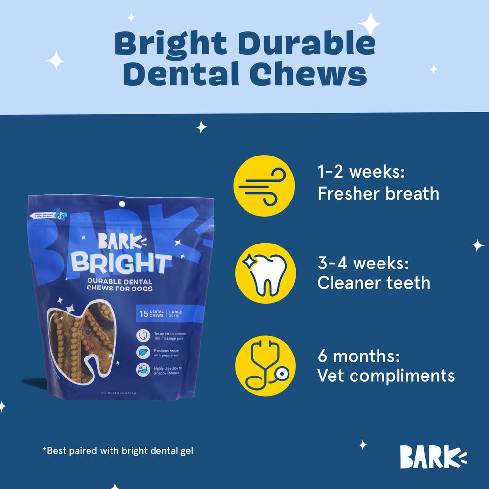 BarkBox Bright mordedor dental en uso, masajeando gomas y áreas difíciles
