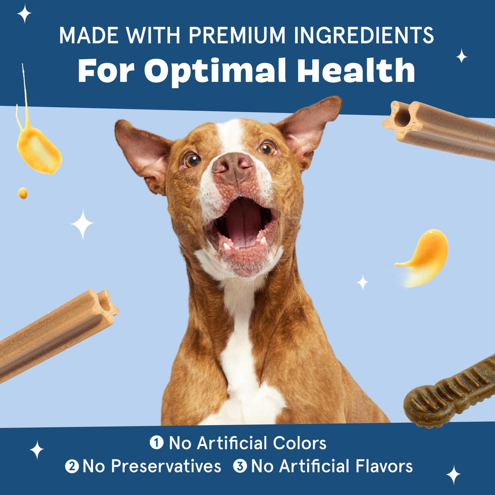 Barkbox Bright recomendado para rutina diaria sin necesidad de cepillo