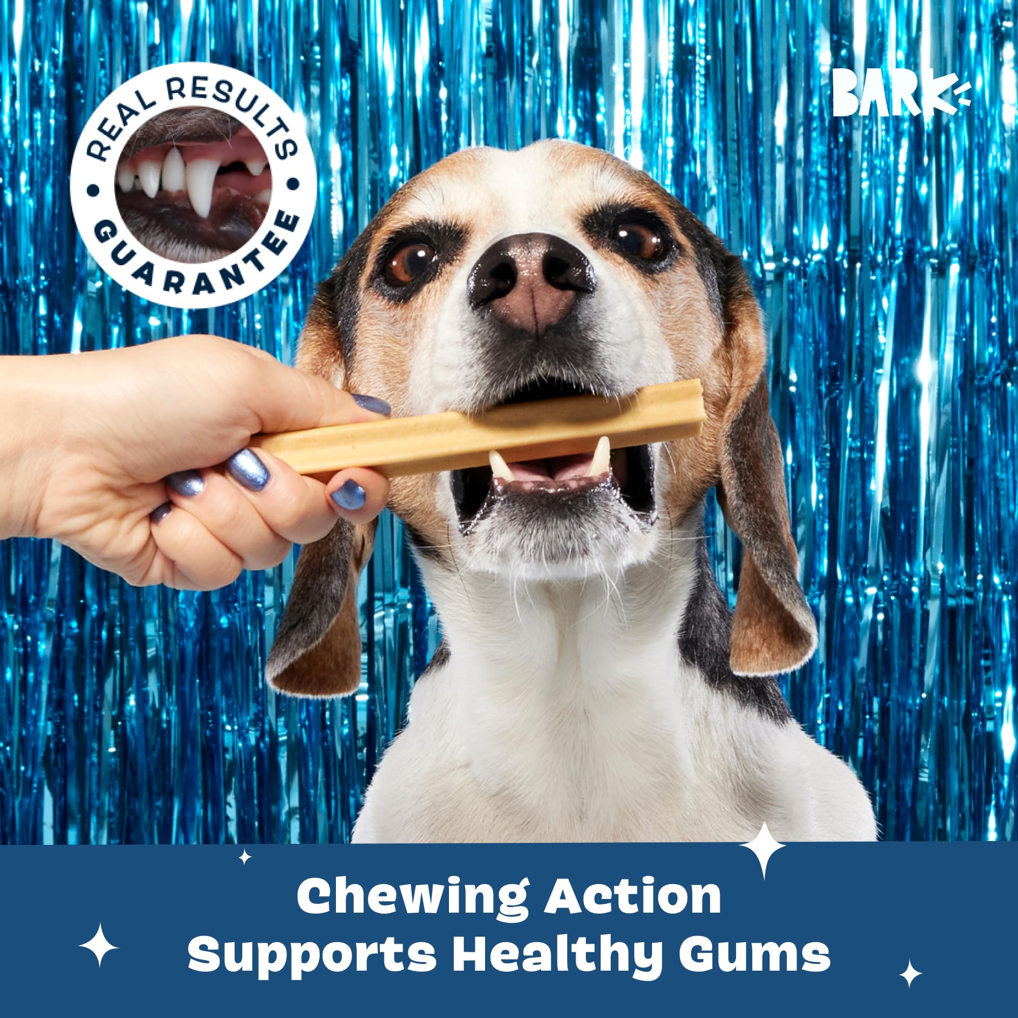 Barkbox Bright libre de granos y maíz, opción limpia para cuidado dental