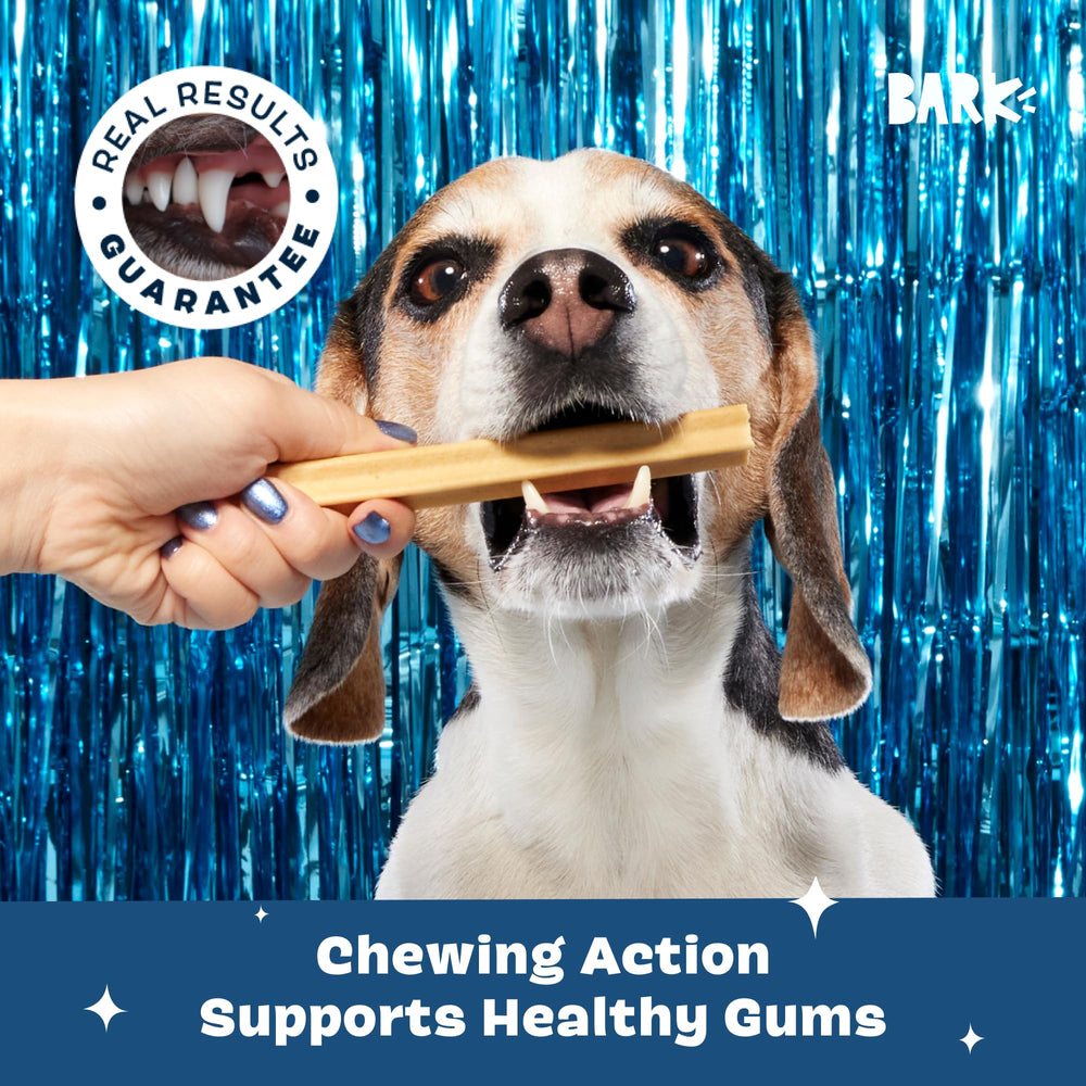 Barkbox Bright libre de granos y maíz, opción limpia para cuidado dental
