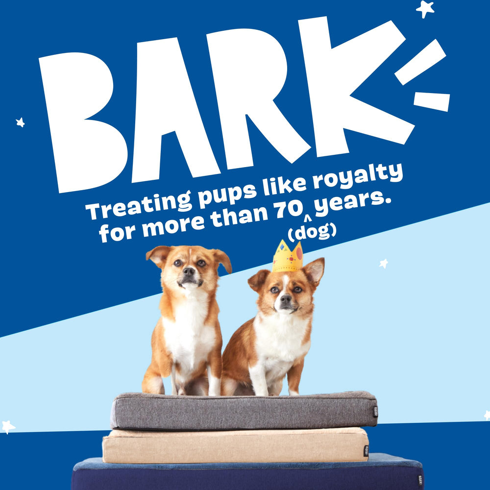 Barkbox funda resistente al agua para protección y limpieza.