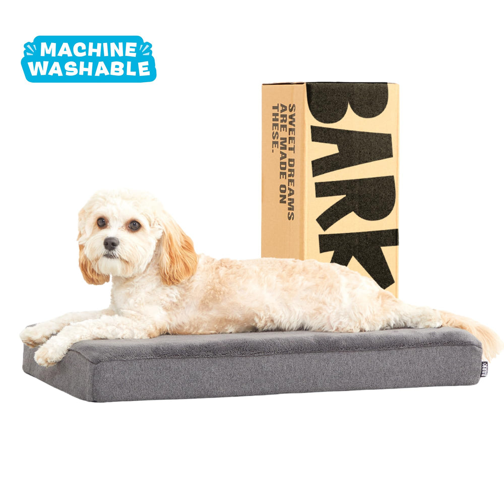 Barkbox cama duradera, diseñada para uso diario activo.